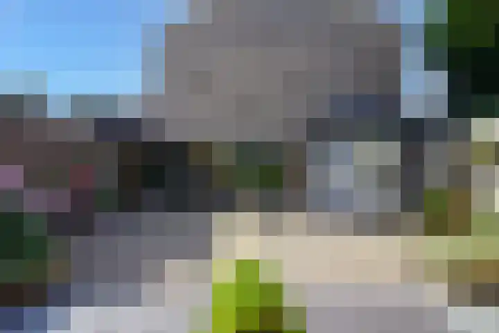 Meerkoet 23 Bunschoten-Spakenburg thumbnail 33