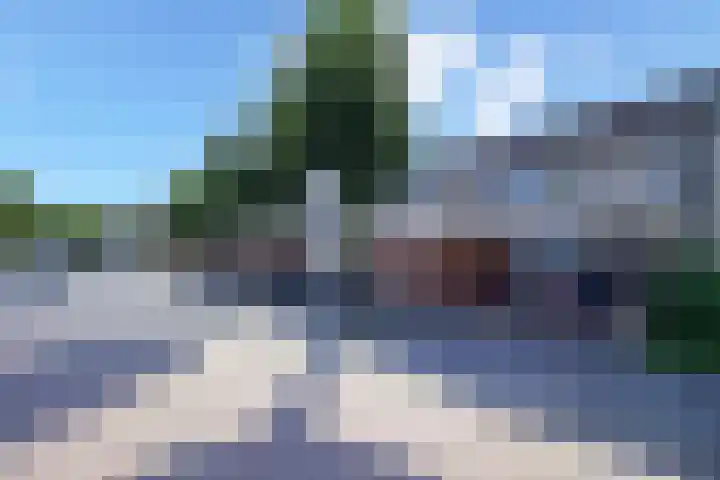 Meerkoet 23 Bunschoten-Spakenburg thumbnail 35