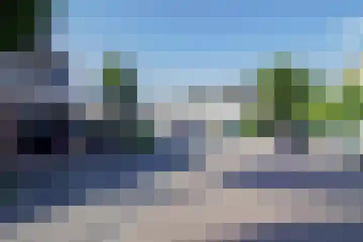 Meerkoet 23 Bunschoten-Spakenburg thumbnail 36