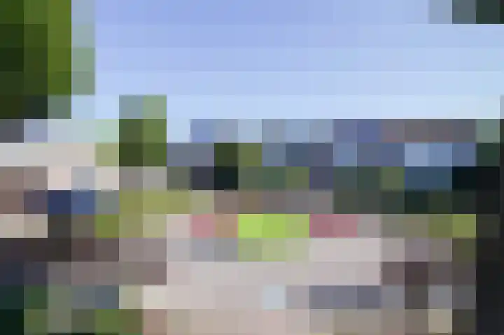 Meerkoet 23 Bunschoten-Spakenburg thumbnail 37