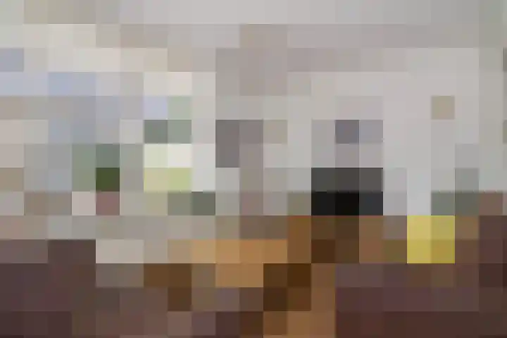 Meerkoet 23 Bunschoten-Spakenburg thumbnail 4