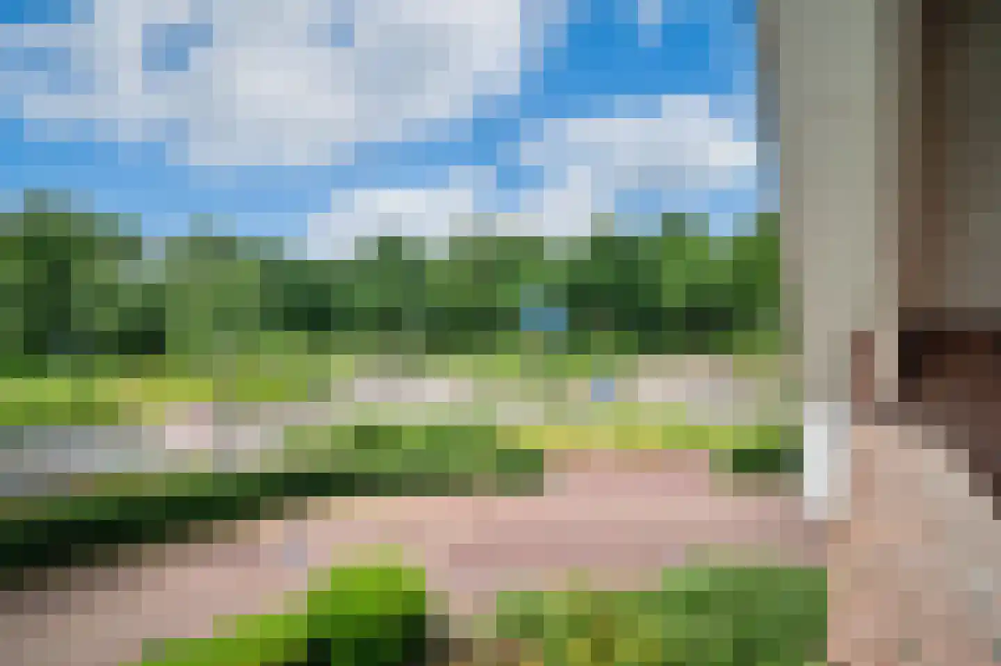 Meerkoet 23 Sint-Oedenrode thumbnail 20