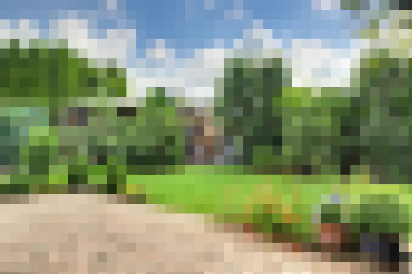 Meerkoet 23 Sint-Oedenrode thumbnail 35