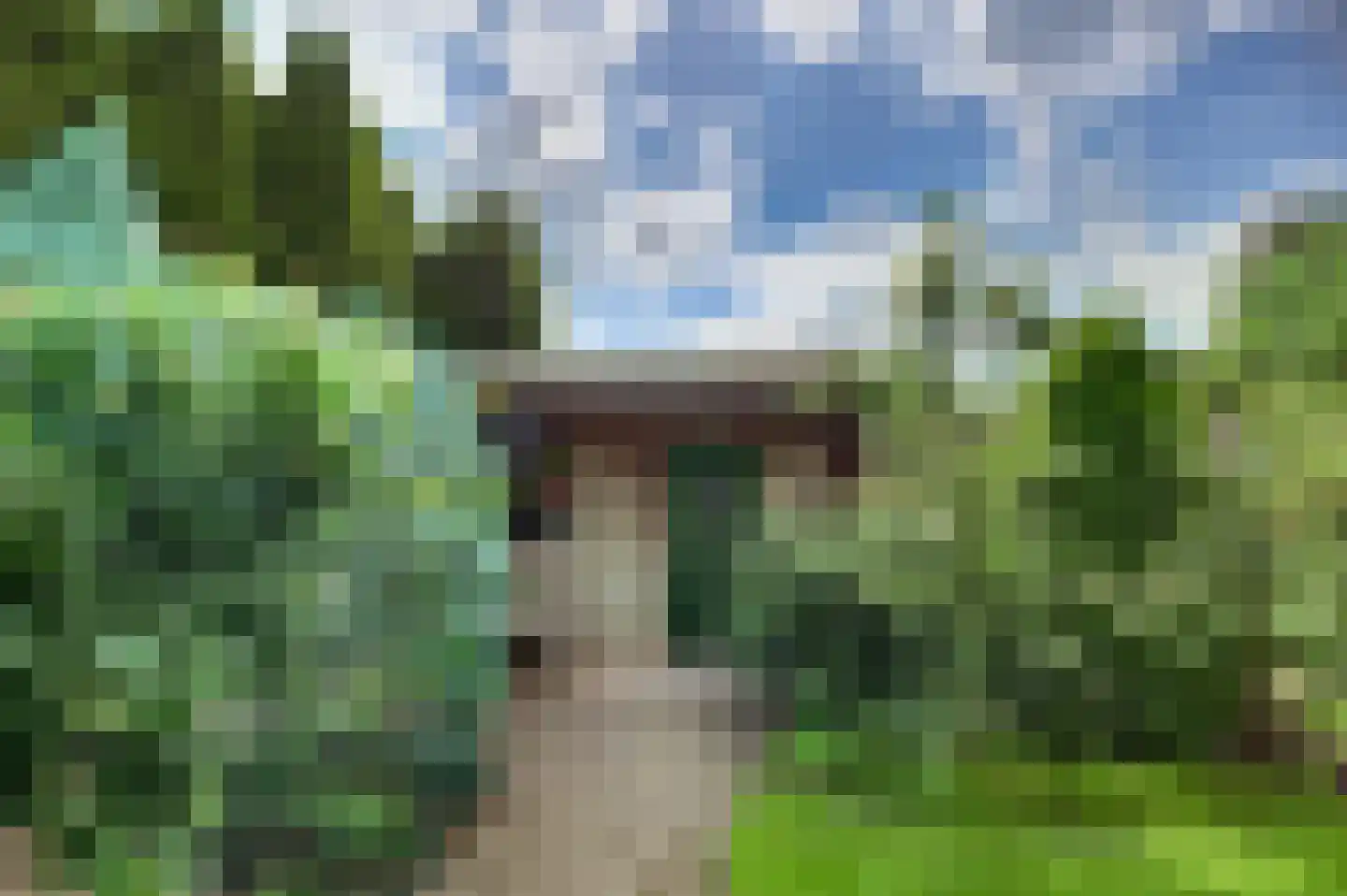 Meerkoet 23 Sint-Oedenrode thumbnail 36