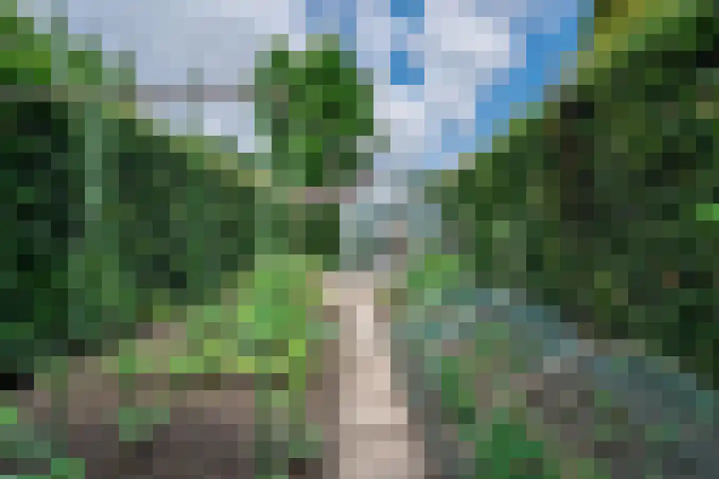 Meerkoet 23 Sint-Oedenrode thumbnail 37