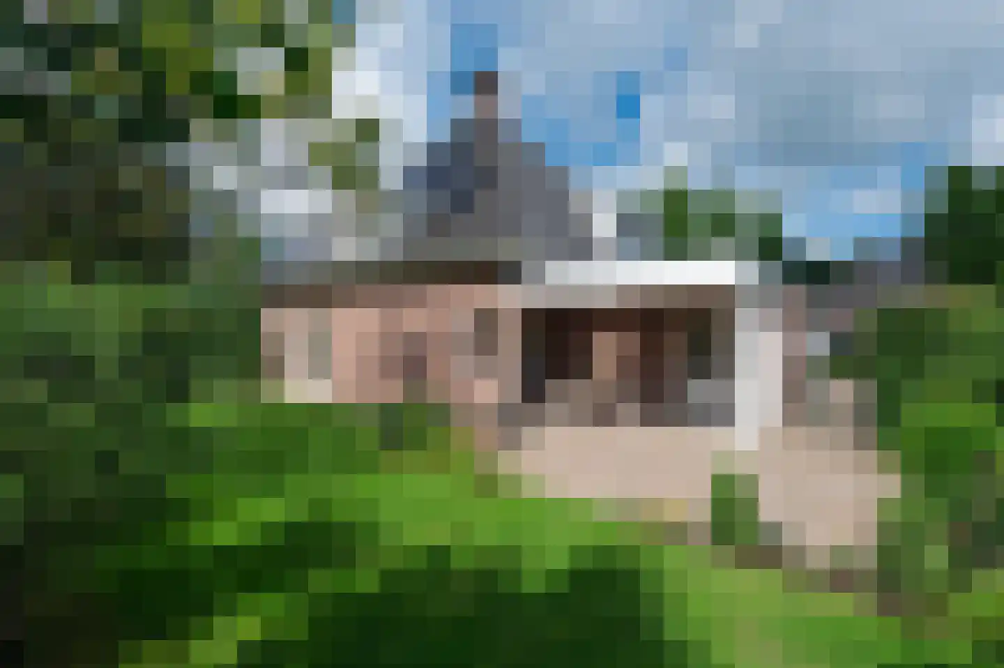 Meerkoet 23 Sint-Oedenrode thumbnail 38