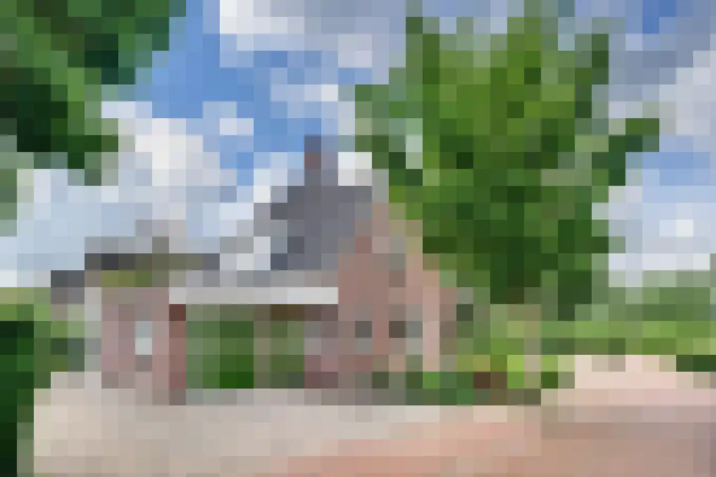 Meerkoet 23 Sint-Oedenrode thumbnail 41