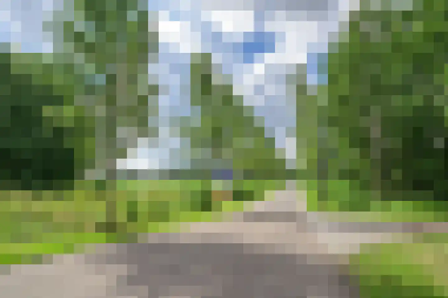 Meerkoet 23 Sint-Oedenrode thumbnail 42