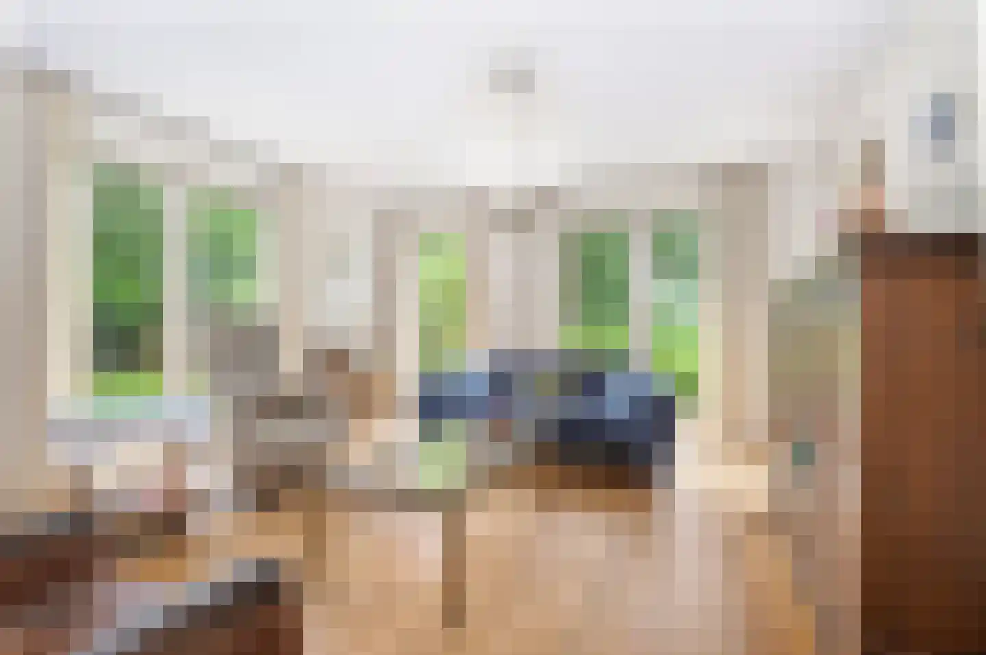 Meerkoet 23 Sint-Oedenrode thumbnail 7