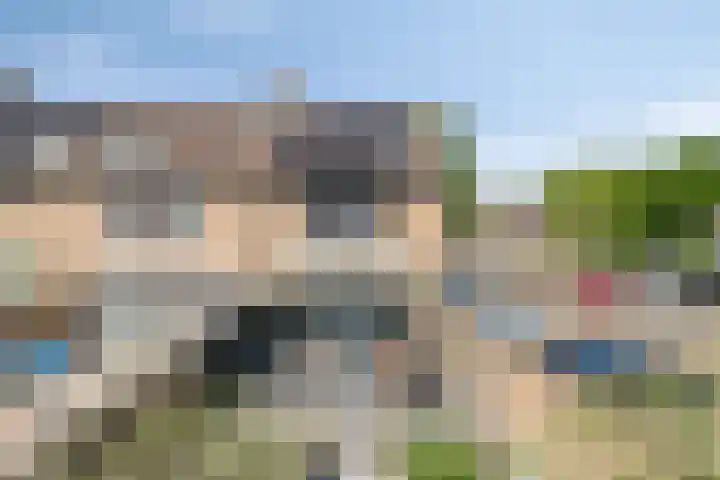 Meerkoet 24 Hoogvliet Rotterdam thumbnail 33