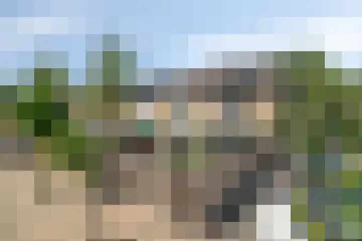 Meerkoet 24 Hoogvliet Rotterdam thumbnail 35