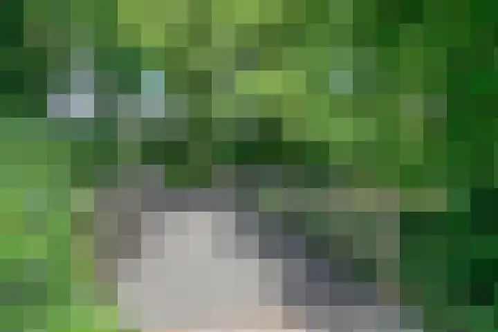 Meerkoet 24 Hoogvliet Rotterdam thumbnail 42