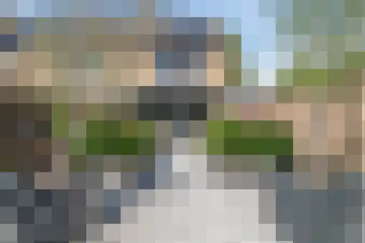 Meerkoet 24 Hoogvliet Rotterdam thumbnail 51