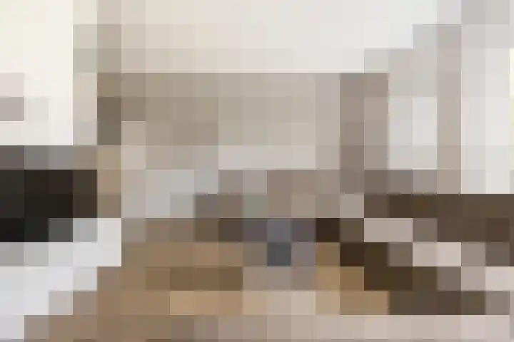 Meerkoet 25 Bedum thumbnail 11