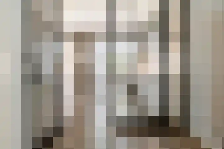 Meerkoet 25 Bedum thumbnail 13