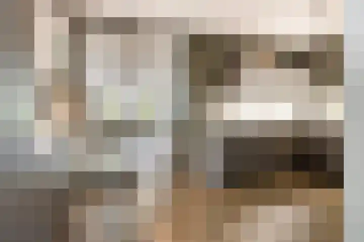 Meerkoet 25 Bedum thumbnail 14