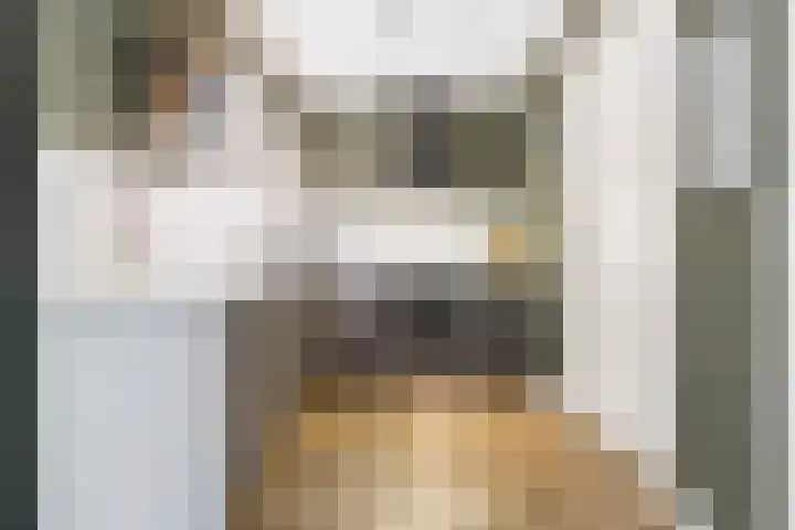 Meerkoet 25 Bedum thumbnail 15