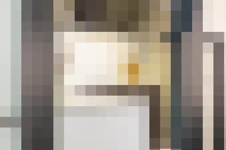 Meerkoet 25 Bedum thumbnail 16