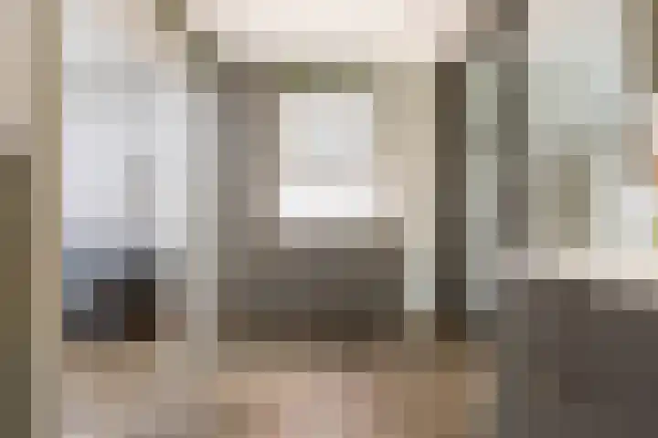 Meerkoet 25 Bedum thumbnail 17