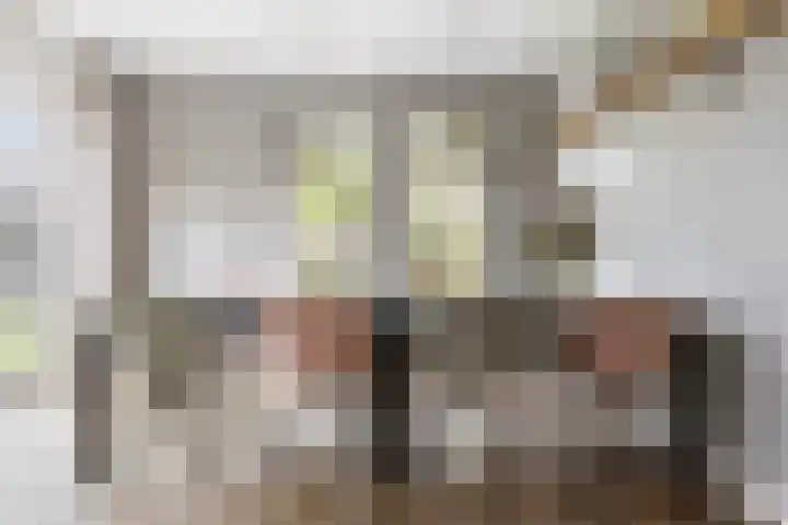 Meerkoet 25 Bedum thumbnail 20