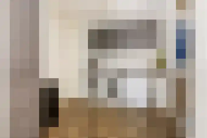 Meerkoet 25 Bedum thumbnail 22