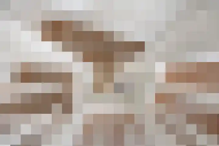 Meerkoet 25 Bedum thumbnail 24