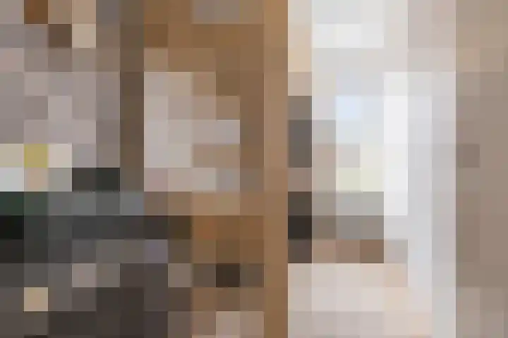 Meerkoet 25 Bedum thumbnail 27