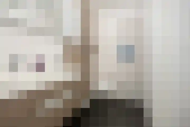 Meerkoet 25 Bedum thumbnail 29