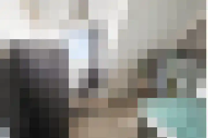 Meerkoet 25 Bedum thumbnail 33
