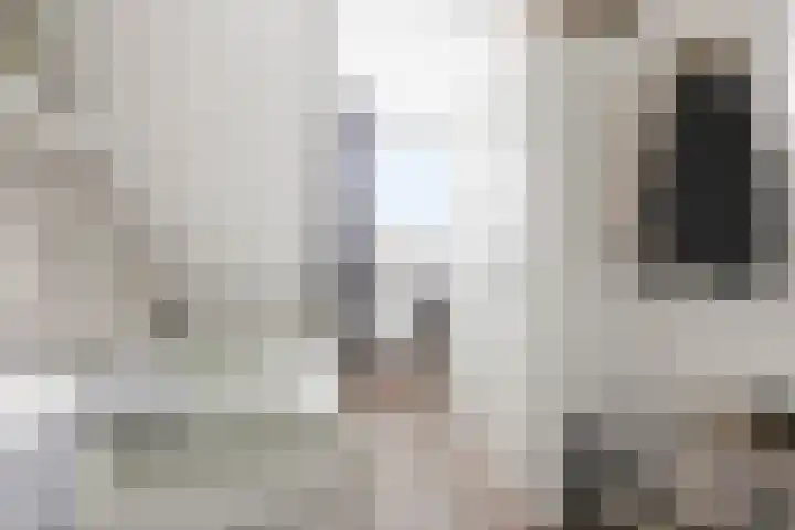 Meerkoet 25 Bedum thumbnail 34