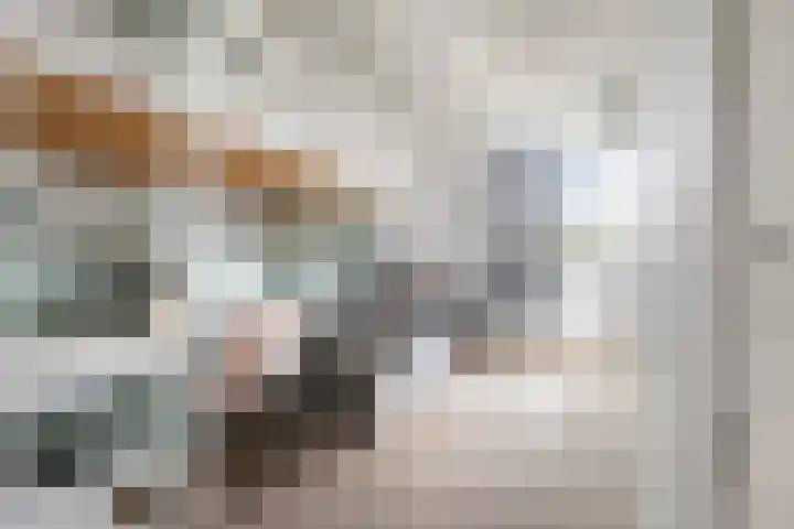 Meerkoet 25 Bedum thumbnail 35