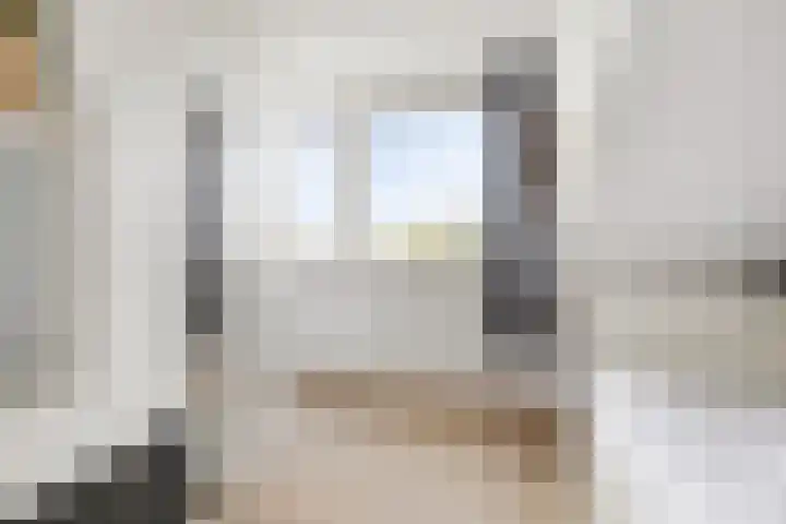 Meerkoet 25 Bedum thumbnail 37
