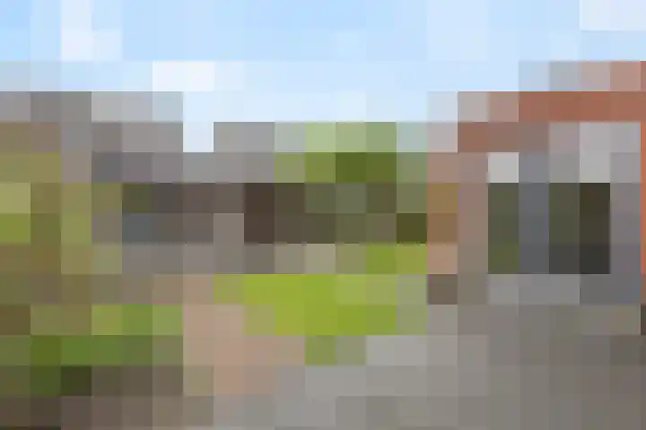 Meerkoet 25 Bedum thumbnail 39