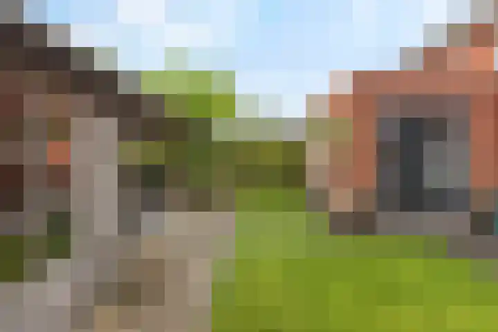 Meerkoet 25 Bedum thumbnail 40