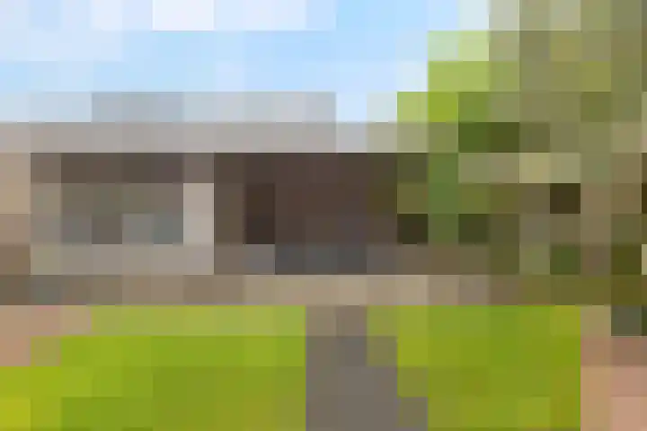 Meerkoet 25 Bedum thumbnail 41