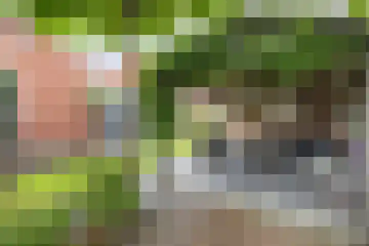 Meerkoet 25 Bedum thumbnail 42