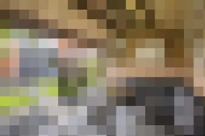 Meerkoet 25 Bedum thumbnail 43