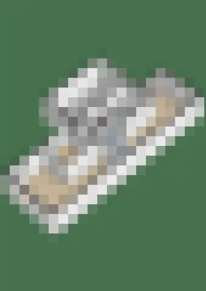 Meerkoet 25 Bedum thumbnail 53