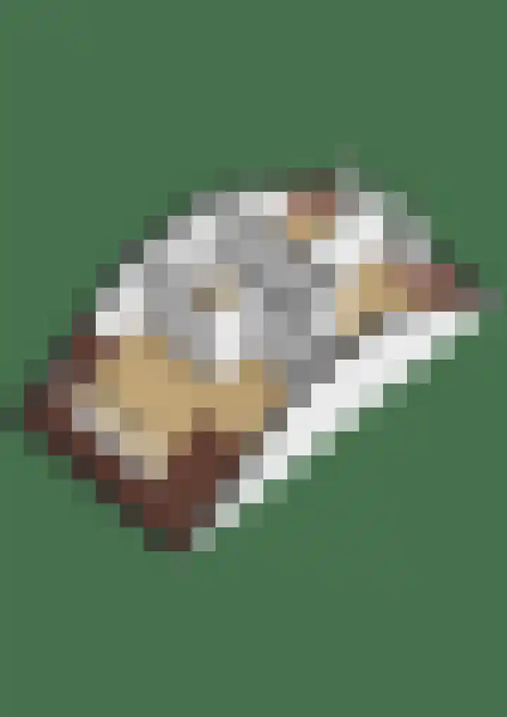 Meerkoet 25 Bedum thumbnail 55