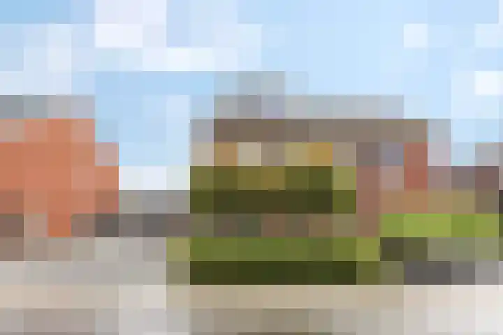 Meerkoet 25 Bedum thumbnail 7