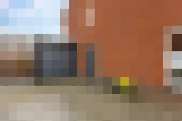 Meerkoet 25 Bedum thumbnail 8