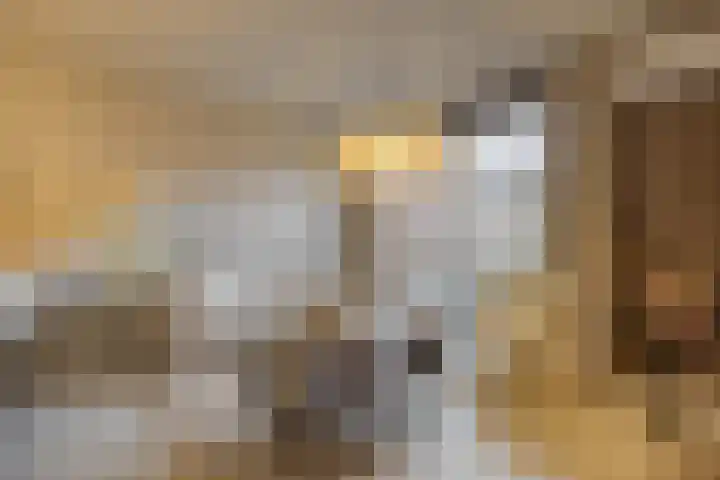 Meerkoet 25 Etten-Leur thumbnail 11
