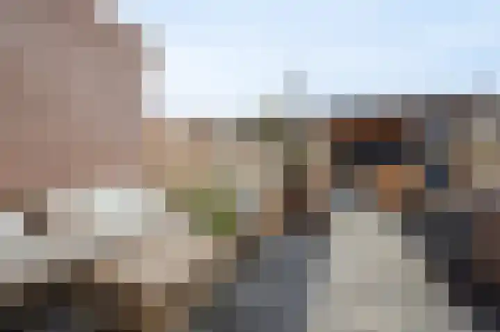 Meerkoet 25 Etten-Leur thumbnail 37