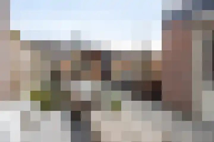 Meerkoet 25 Etten-Leur thumbnail 4