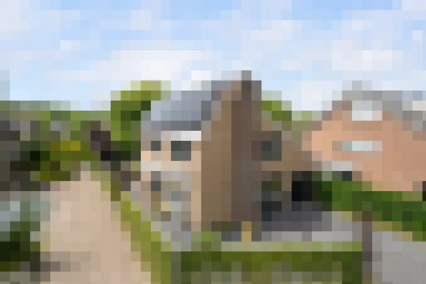 Meerkoet 26 dans Ridderkerk