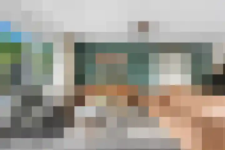 Meerkoet 26 Nieuw-Lekkerland thumbnail 10