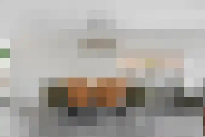 Meerkoet 26 Nieuw-Lekkerland thumbnail 15