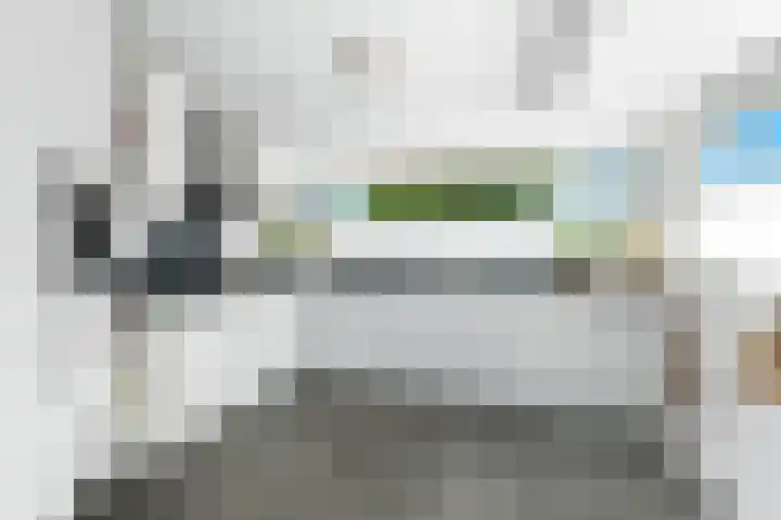 Meerkoet 26 Nieuw-Lekkerland thumbnail 17