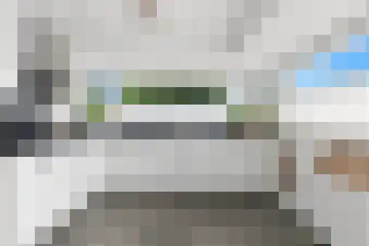 Meerkoet 26 Nieuw-Lekkerland thumbnail 18
