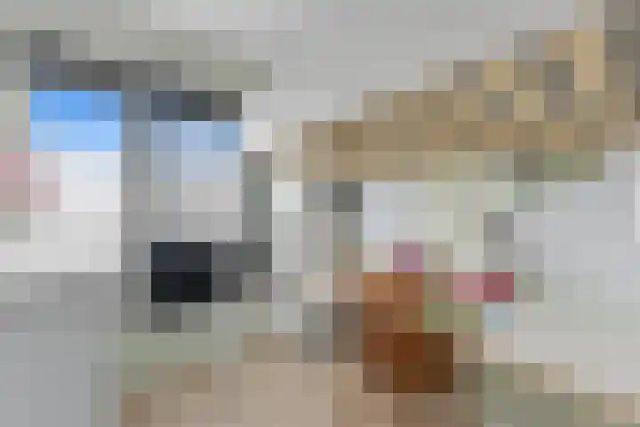 Meerkoet 26 Nieuw-Lekkerland thumbnail 27
